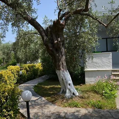 Guest house Elina Golden Beach Chrysi Ammoudia